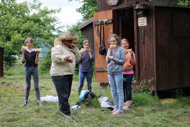 Unser Besuch beim Imker (Foto: Haus der Jugend)