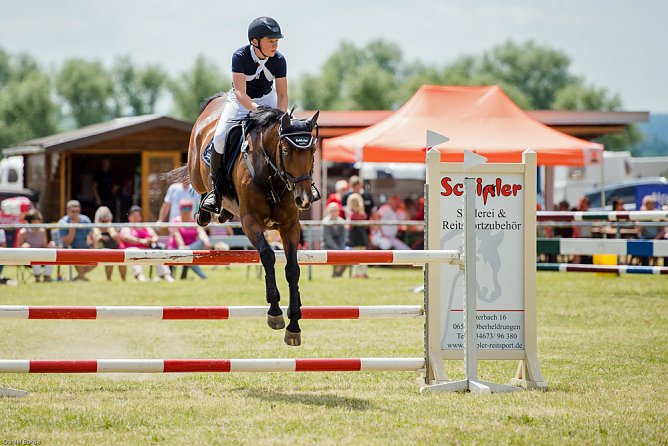 Reitturnier des Sportverein " Diamantene Aue" Ringleben - 2017 (Foto: Privat) Reitturnier des Sportverein " Diamantene Aue" Ringleben - 2017 (Foto: Privat)