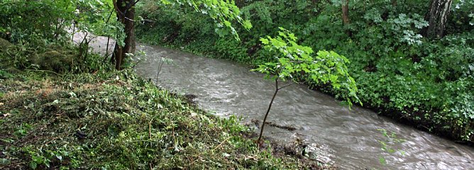 Umgest&uuml;rzte B&auml;ume und Schlamm (Foto: Karl-Heinz Herrmann)