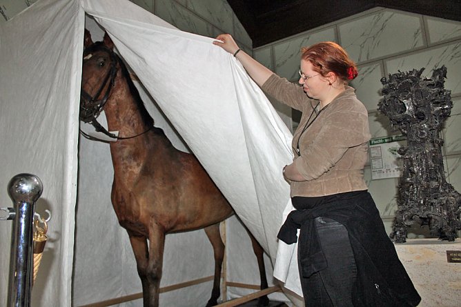 Ein Glashaus f&uuml;r das Pferdchen (Foto: Karl-Heinz Herrmann)