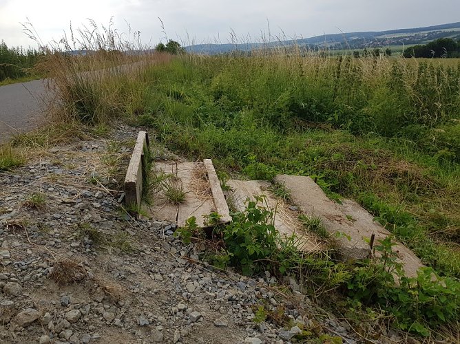 Auf dem Radweg unterwegs (Foto: Thomas Reinhardt) Auf dem Radweg unterwegs (Foto: Thomas Reinhardt)