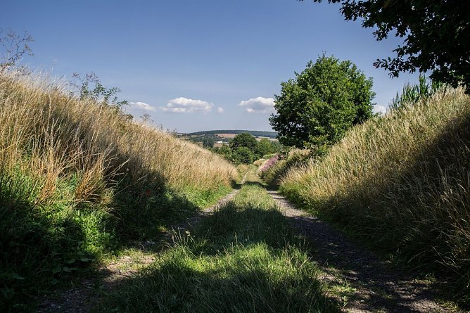 Wetterbild (Foto: Gernot Thelemann) Wetterbild (Foto: Gernot Thelemann)