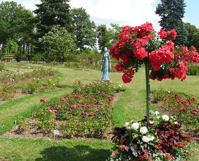 WB 4 besuchte Europa-Rosarium Sangerhausen (Foto: Thomas Leipold)