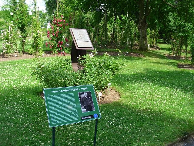 WB 4 besuchte Europa-Rosarium Sangerhausen (Foto: Thomas Leipold)