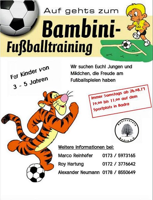 Bambini Fu&szlig;ballturnier im Sommer (Foto: Privat)