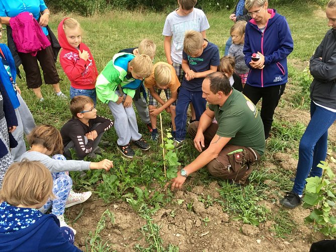 Ein Tag bei Obstbauer Phillip (Foto: Kreisjugendring kyffh&auml;userkreis e.V.)