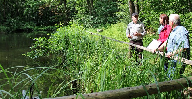 Gr&uuml;ne und NABU wollen wichtiges Laichgew&auml;sser zerst&ouml;ren? (Foto: Karl-Heinz Herrmann)