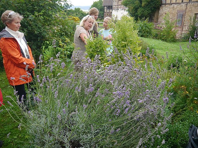 Kräuterführung und Konzert (Foto: Jürgen Kieper) Kräuterführung und Konzert (Foto: Jürgen Kieper)