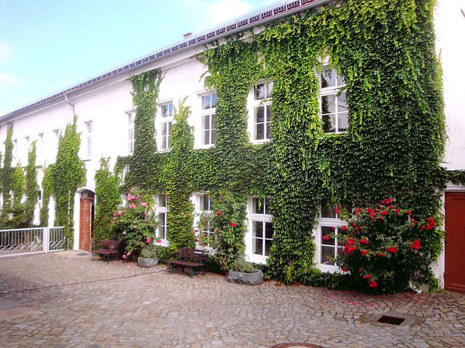 Besuch bei der Eule (Foto: Peter Zimmer) Besuch bei der Eule (Foto: Peter Zimmer)