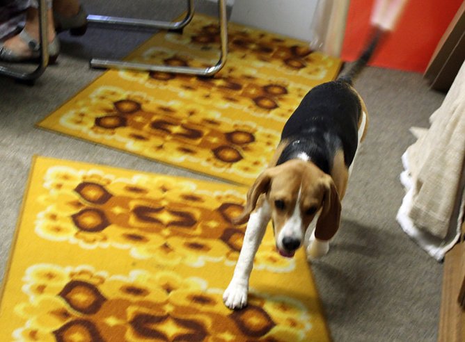 10 Prozent aus der Nutzung genommen (Foto: Karl-Heinz Herrmann) 10 Prozent aus der Nutzung genommen (Foto: Karl-Heinz Herrmann)