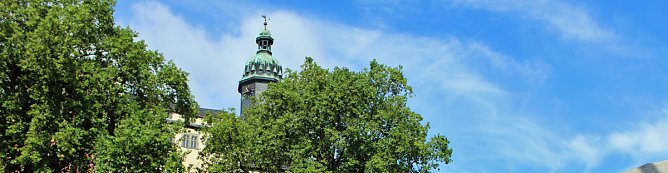 Beim Denkmalstag auf die Spitze getrieben... (Foto: Karl-Heinz Herrmann)