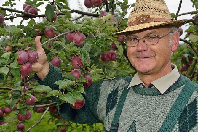 Apfel- und Wildobstwochen in der Hohen Schrecke (Foto: Thomas Stephan) Apfel- und Wildobstwochen in der Hohen Schrecke (Foto: Thomas Stephan)
