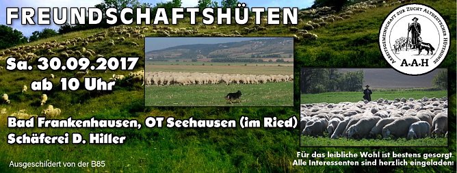 14. Freundschaftsh&uuml;ten in Seehausen (Foto: Dietmar Hiller)