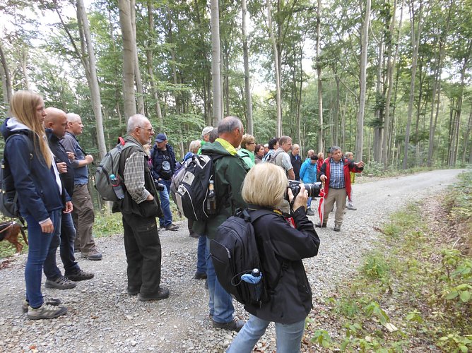 Rückblick auf den Tag des Geotops 2017 (Foto: Regionalmuseum Bad Frankenhausen) Rückblick auf den Tag des Geotops 2017 (Foto: Regionalmuseum Bad Frankenhausen)