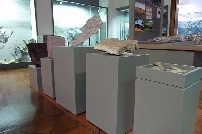 Rückblick auf den Tag des Geotops 2017 (Foto: Regionalmuseum Bad Frankenhausen) Rückblick auf den Tag des Geotops 2017 (Foto: Regionalmuseum Bad Frankenhausen)