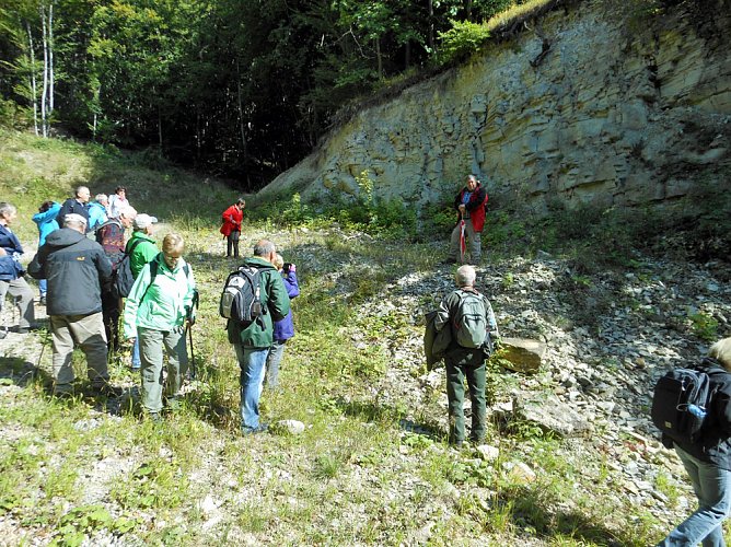 Rückblick auf den Tag des Geotops 2017 (Foto: Regionalmuseum Bad Frankenhausen) Rückblick auf den Tag des Geotops 2017 (Foto: Regionalmuseum Bad Frankenhausen)