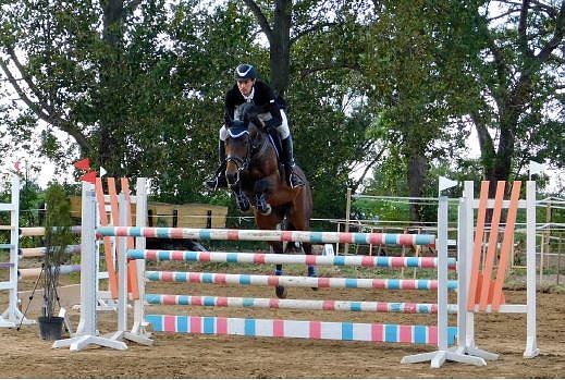 Gelungene Premiere beim Reitturnier in Heygendorf (Foto: Privat) Gelungene Premiere beim Reitturnier in Heygendorf (Foto: Privat)