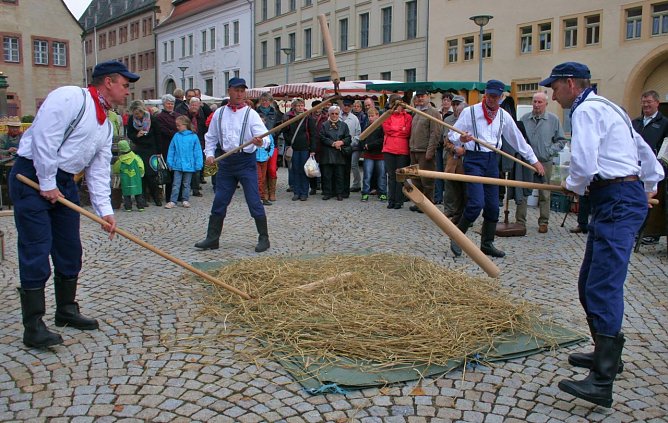 Drescher (Foto: Rosenstadt Sangerhausen GmbH) Drescher (Foto: Rosenstadt Sangerhausen GmbH)