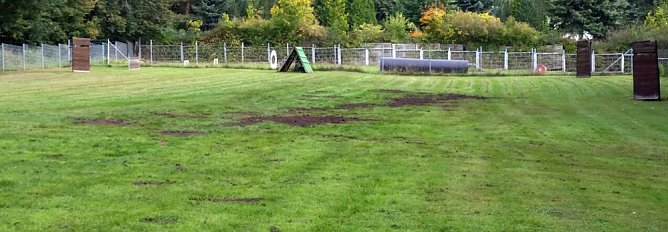 Arbeitseinsatz auf dem Hundeplatz an der Trift (Foto: privat) Arbeitseinsatz auf dem Hundeplatz an der Trift (Foto: privat)