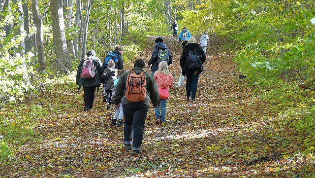 Abenteuer Hainleite und Baumpflanzung (Foto: Stadtjugendring Sondershausen)