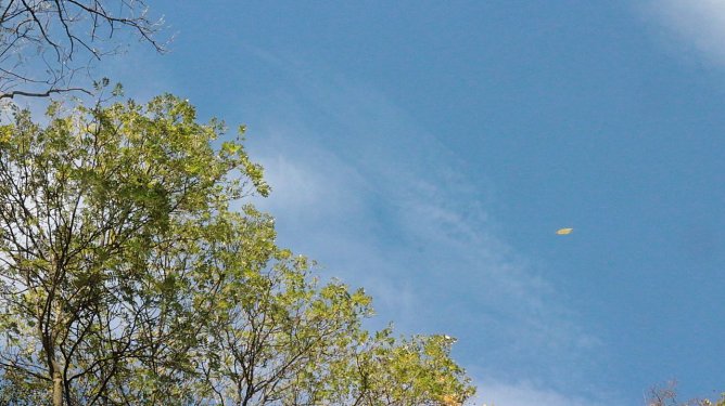 Sonnenschein mit kleinen Nebelfeldern (Foto: nnz ) Sonnenschein mit kleinen Nebelfeldern (Foto: nnz )