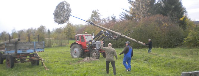 Neue Storchennester in Seehausen (Foto: Susann Böhme) Neue Storchennester in Seehausen (Foto: Susann Böhme)