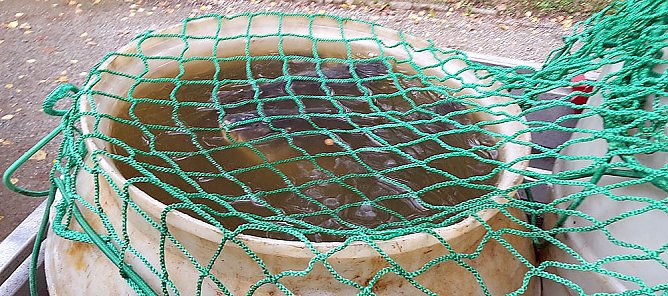Was ist mit dem Teich passiert? (Foto: Karl-Heinz Herrmann)