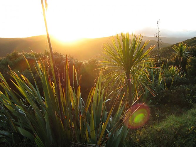 Neuseeland (Foto: Toni Wipper) Neuseeland (Foto: Toni Wipper)