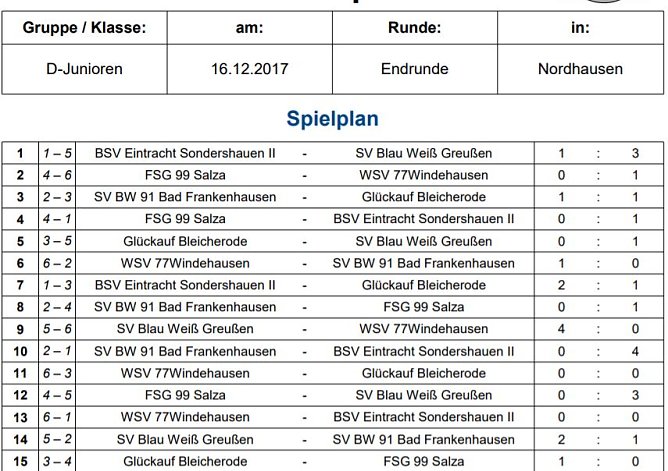 SV BW Greu&szlig;en Hallenkreismeister der D-Junioren (Foto: NTKFA)