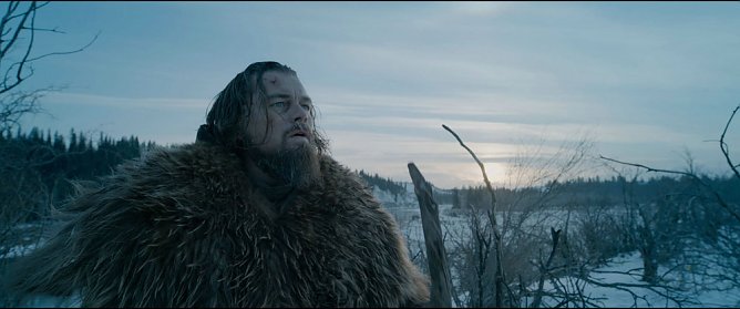 The Revenant Der Rückkehrer (Foto: FOX) The Revenant Der Rückkehrer (Foto: FOX)