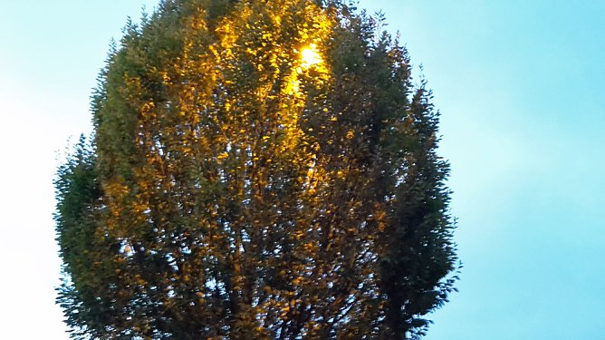 Jecha und seine Stra&szlig;en - 10 Jahre nichts getan? (Foto: privat)