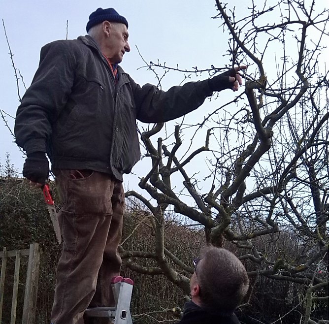 Fachberatung zum Obstbaumschnitt (Foto: Kreisverband) Fachberatung zum Obstbaumschnitt (Foto: Kreisverband)