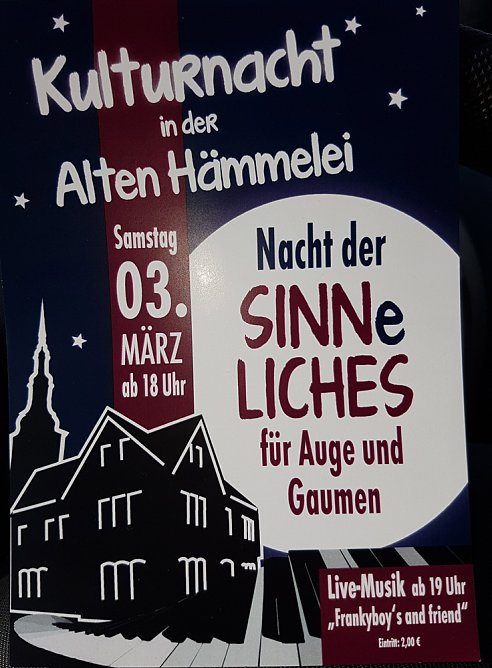 Kulturnacht (Foto: privat) Kulturnacht (Foto: privat)