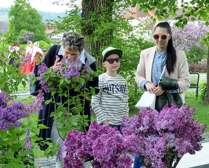 200 Fliederpflanzen zum 200-jährigen Kurjubläum (Foto: Stadt Bad Frankenhausen) 200 Fliederpflanzen zum 200-jährigen Kurjubläum (Foto: Stadt Bad Frankenhausen)