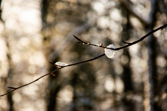 Wetterbild (Foto: Gernot Thelemann)