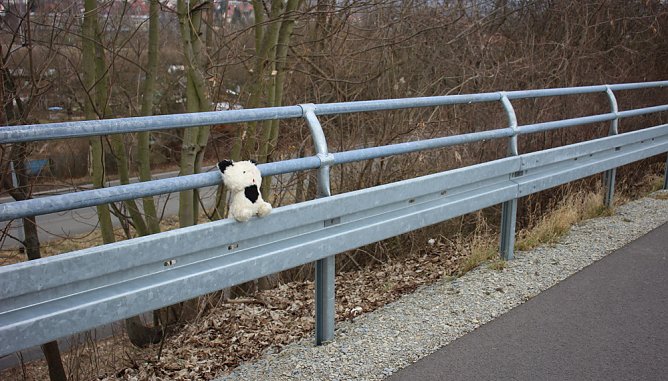 Ich bin so allein! (Foto: Karl-Heinz Herrmann)