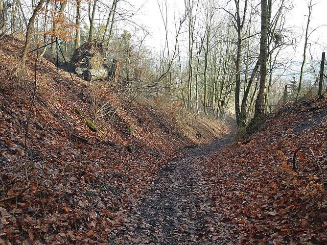 Osterspaziergang zum Spatenbergturm (Foto: Dorothea Kieper)