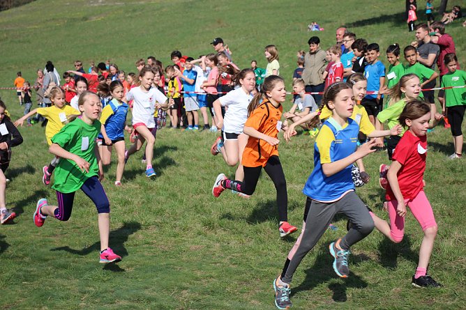 Tolles Kreisfinale beim Crosslauf (Foto: Karl-Heinz Herrmann)