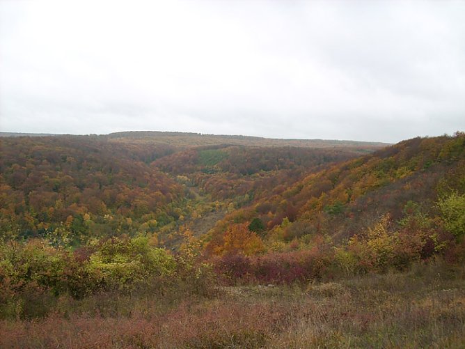 Indian Summer auf dem Frauenberg (Foto: Karl-Heinz Herrmann) Indian Summer auf dem Frauenberg (Foto: Karl-Heinz Herrmann)