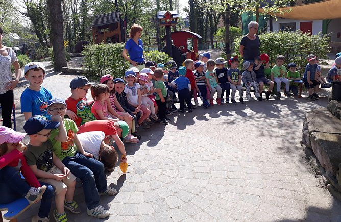 Fliederbaum gepflanzt (Foto: Kindervilla)