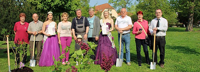 Gro&szlig;e Fliederbaumplanzaktion in Bad Frankenhausen (Foto: Karl-Heinz Herrmann)