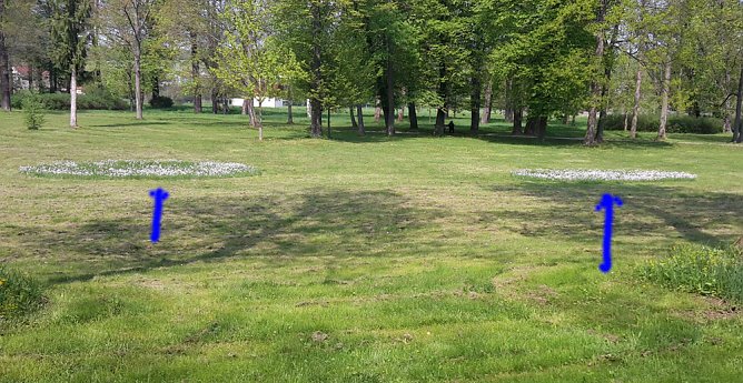 Lob an Bauhof/G&auml;rtnerei und mehr (Foto: Karl-Heinz Herrmann)