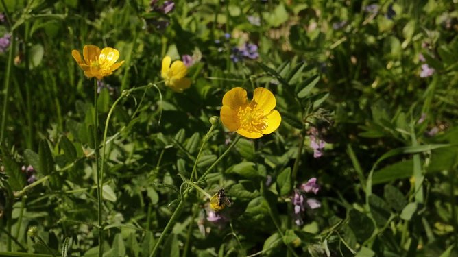 Wetterbild (Foto: Angelo Glashagel)