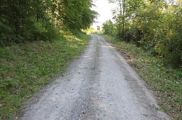 Dem Wald was Gutes tun – Viel bewegt beim Arbeitseinsatz (Foto: Andreas Links) Dem Wald was Gutes tun – Viel bewegt beim Arbeitseinsatz (Foto: Andreas Links)