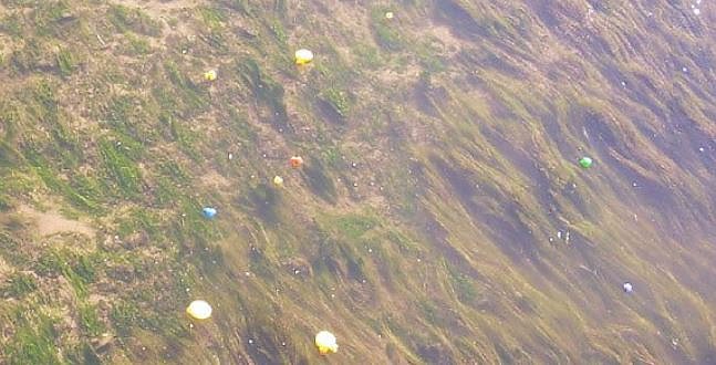 Jubil&auml;um in Gorsleben (Foto: Karl-Heinz Herrmann)