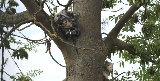 Ausbildungstag Jugendfeuerwehr (Foto: Silva Hendrich / kn)