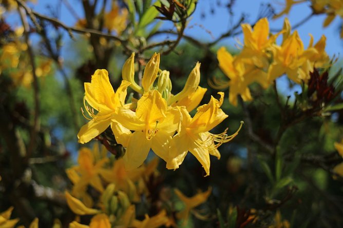 Wetterbild (Foto: Angelo Glashagel) Wetterbild (Foto: Angelo Glashagel)
