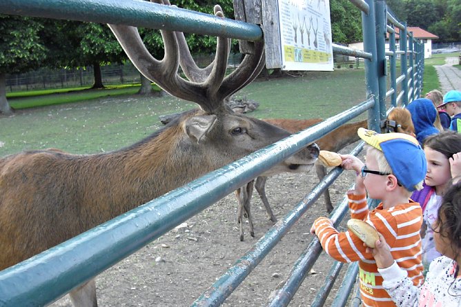 Erlebnisreicher Ausflug (Foto: Kita Sonnenschein) Erlebnisreicher Ausflug (Foto: Kita Sonnenschein)
