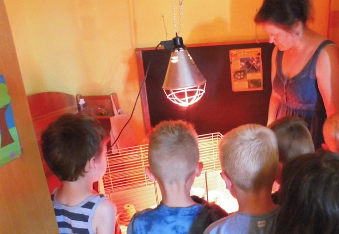 Wunder geschehen - Wir haben's gesehen (Foto: Kita Arche Noah) Wunder geschehen - Wir haben's gesehen (Foto: Kita Arche Noah)