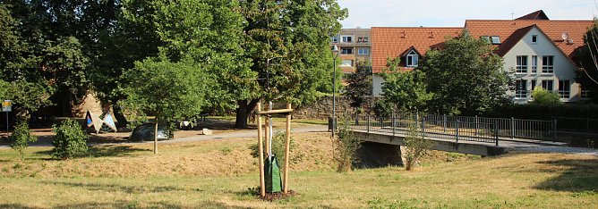 Sinnloser Vandalismus (Foto: Karl-Heinz Herrmann) Sinnloser Vandalismus (Foto: Karl-Heinz Herrmann)